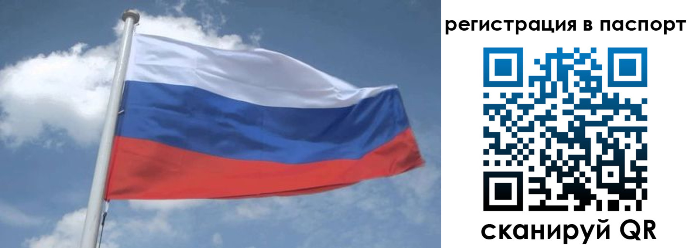 временная регистрация надежно в Архангельской области